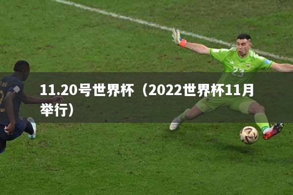 11.20号世界杯（2022世界杯11月举行）