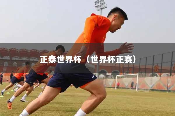 正泰世界杯（世界杯正赛）