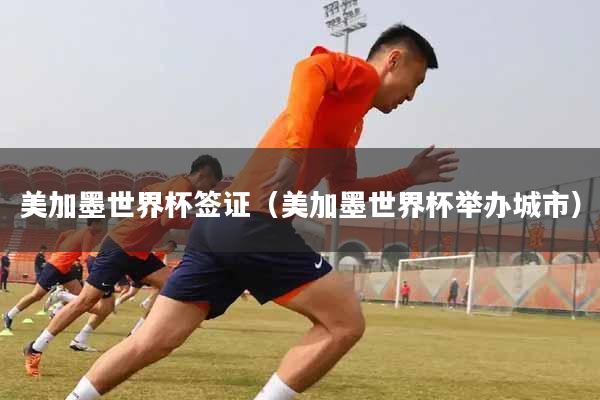美加墨世界杯签证（美加墨世界杯举办城市）