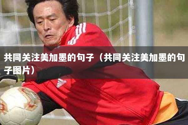 共同关注美加墨的句子（共同关注美加墨的句子图片）