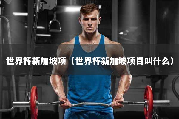 世界杯新加坡项（世界杯新加坡项目叫什么）