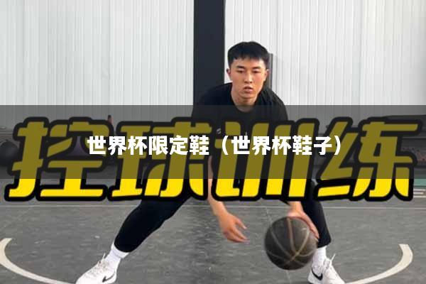 世界杯限定鞋（世界杯鞋子）