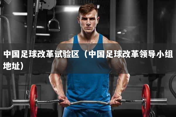 中国足球改革试验区（中国足球改革领导小组地址）